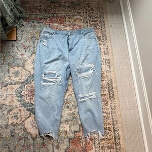 American Eagle Plus Size Jeans- distressed